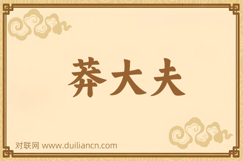 莽大夫词语的意思