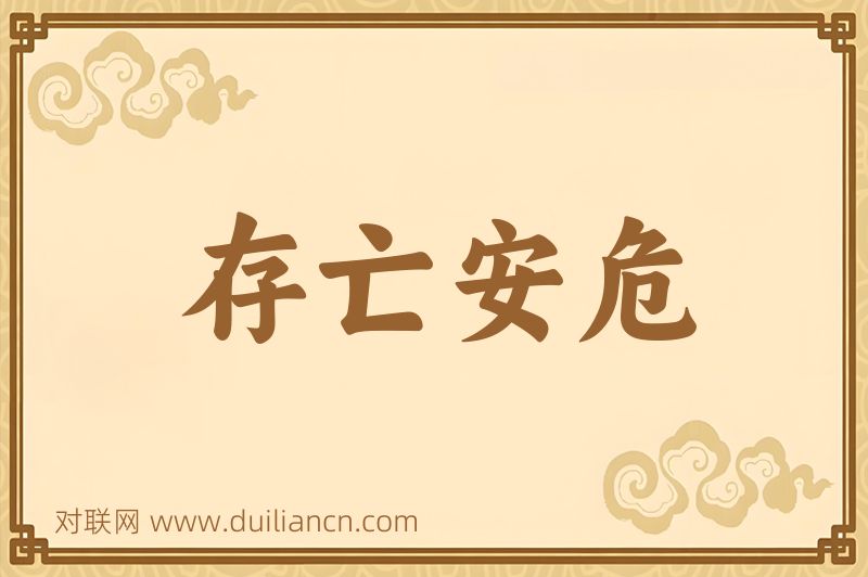 存亡安危词语的意思