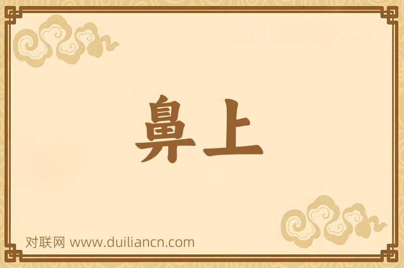 鼻上词语的意思