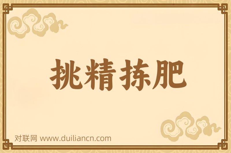 挑精拣肥词语的意思