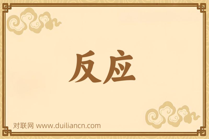 反应词语的意思