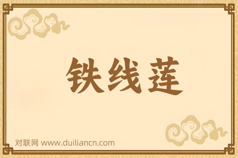 铁线莲词语的意思
