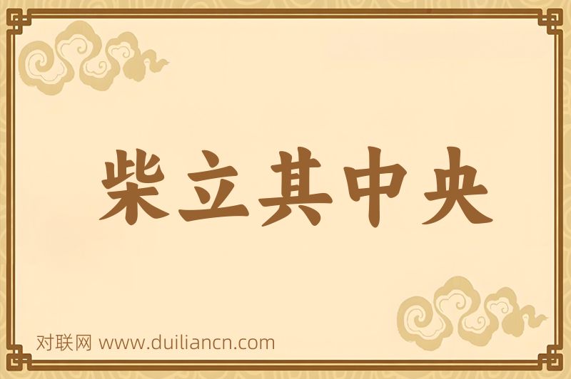 柴立其中央词语的意思