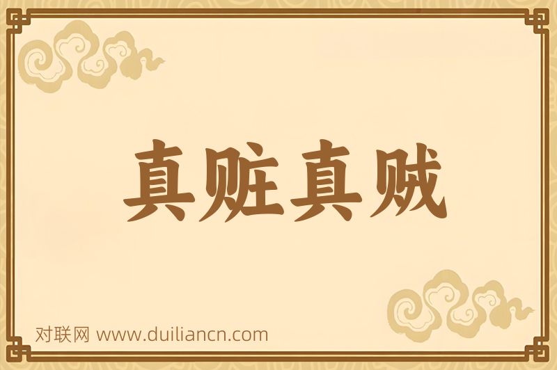真赃真贼词语的意思