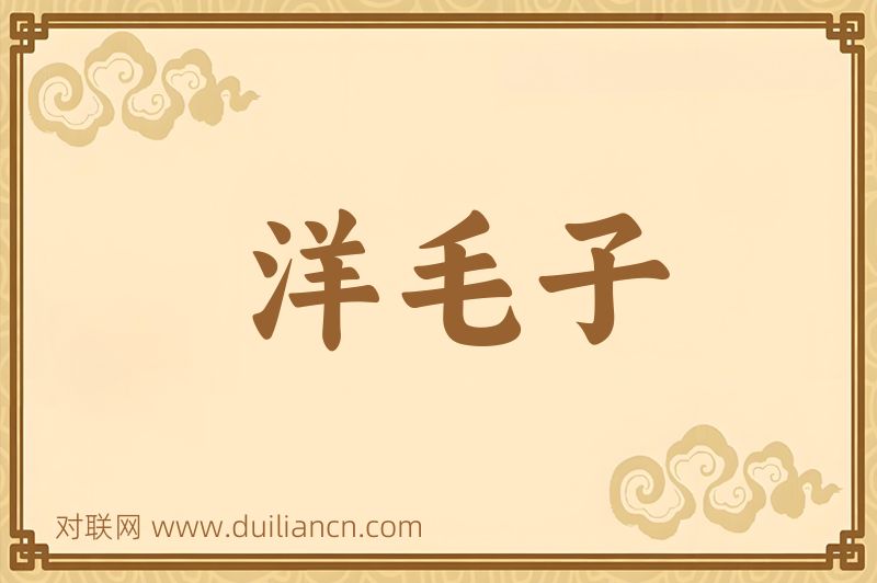 洋毛子词语的意思
