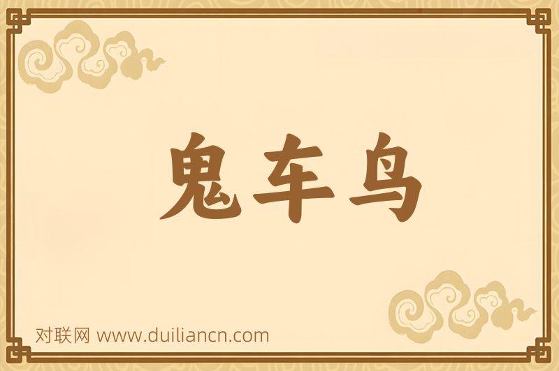 鬼车鸟词语的意思