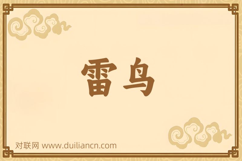 雷鸟词语的意思