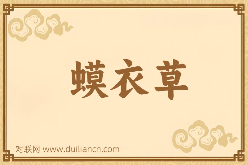 蟆衣草词语的意思