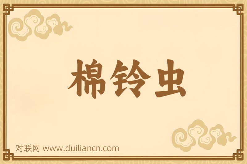 棉铃虫词语的意思