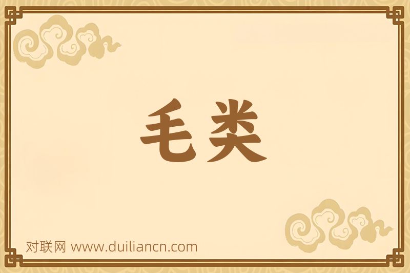 毛类词语的意思