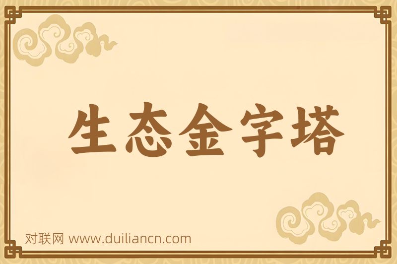 生态金字塔词语的意思
