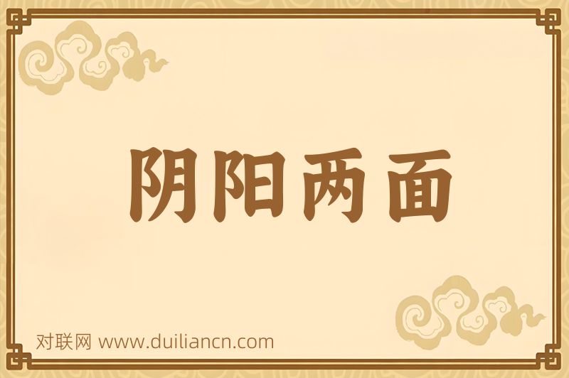阴阳两面词语的意思