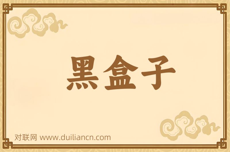 黑盒子词语的意思