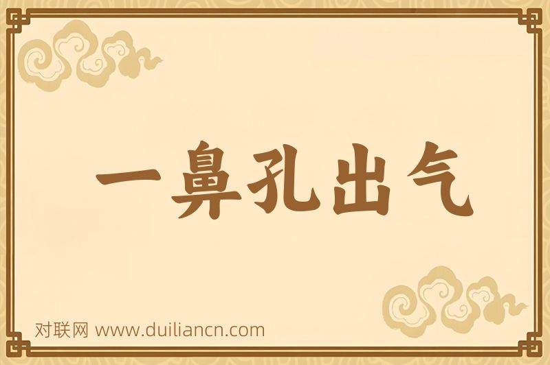 一鼻孔出气词语的意思