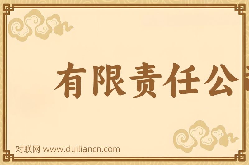 有限责任公司词语的意思