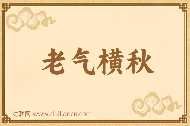 老气横秋词语的意思