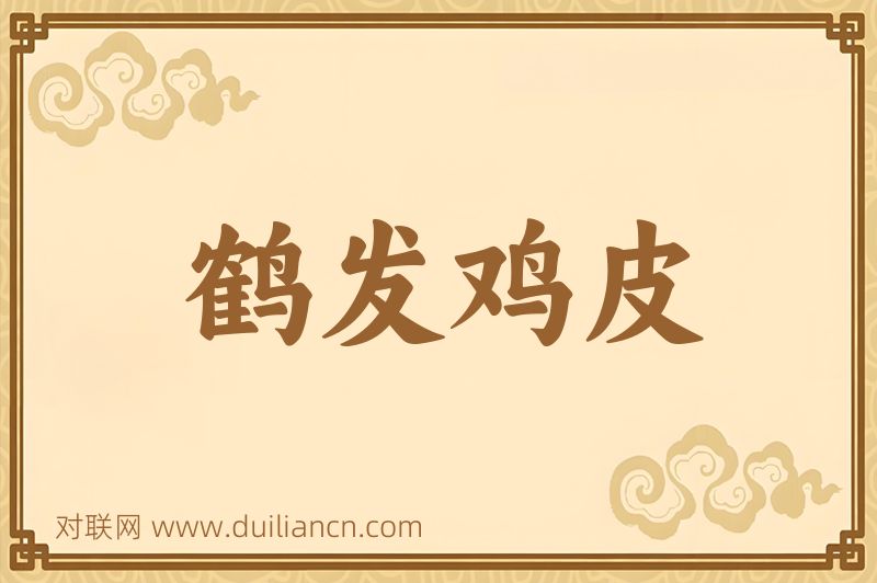 鹤发鸡皮词语的意思