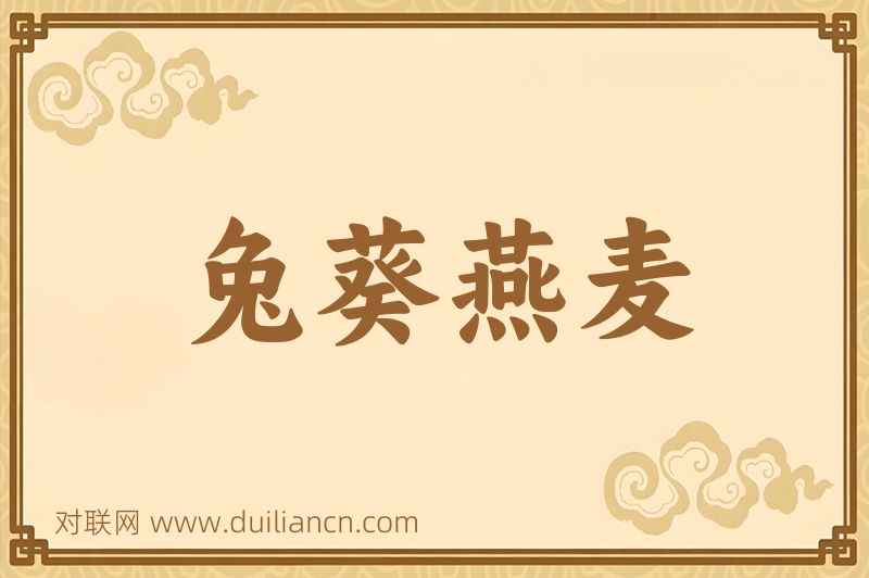 兔葵燕麦词语的意思