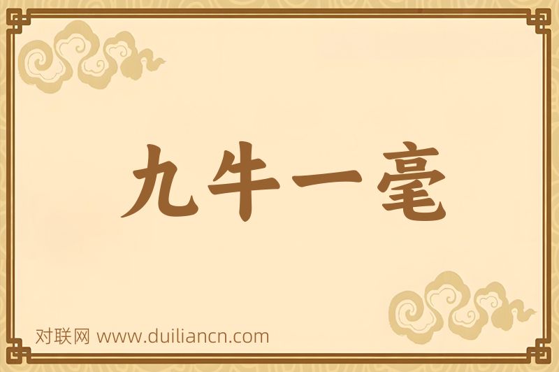 九牛一毫词语的意思