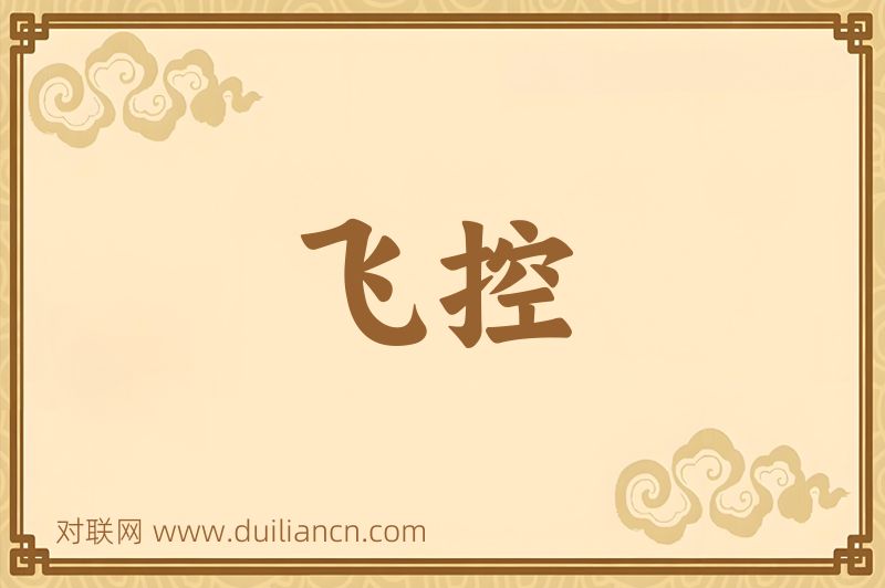 飞控词语的意思