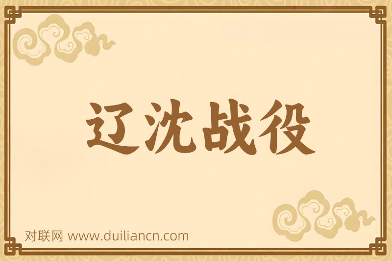 辽沈战役词语的意思
