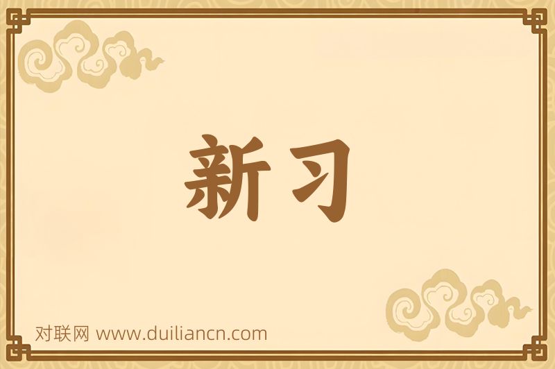 新习词语的意思