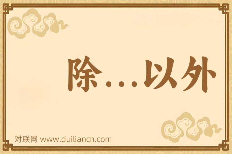 除...以外词语的意思