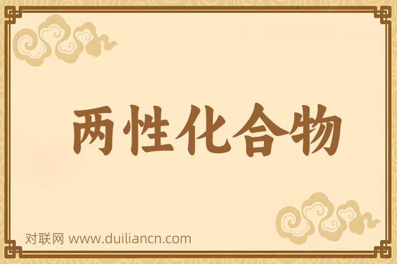 两性化合物词语的意思