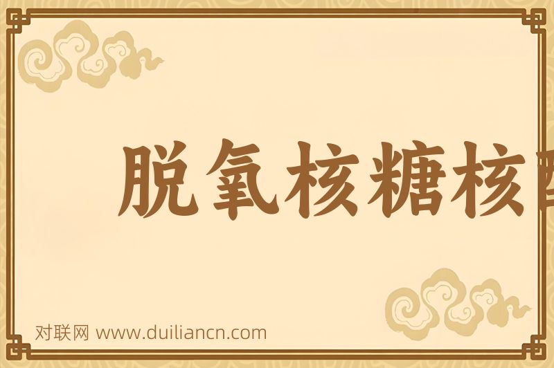 脱氧核糖核酸词语的意思