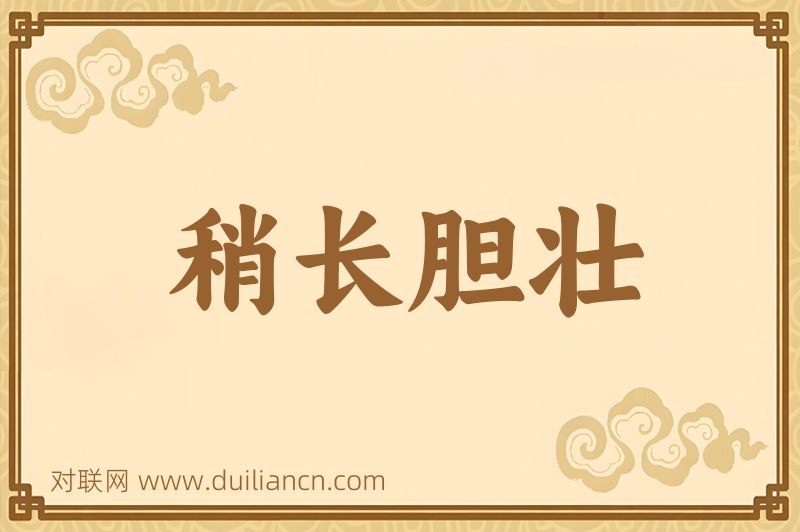 稍长胆壮词语的意思