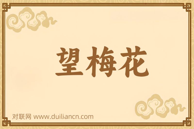 望梅花词语的意思