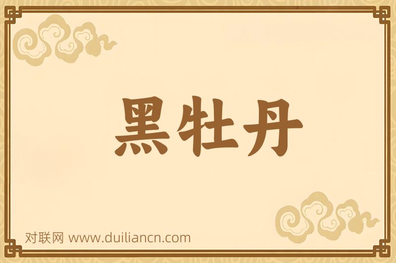 黑牡丹词语的意思
