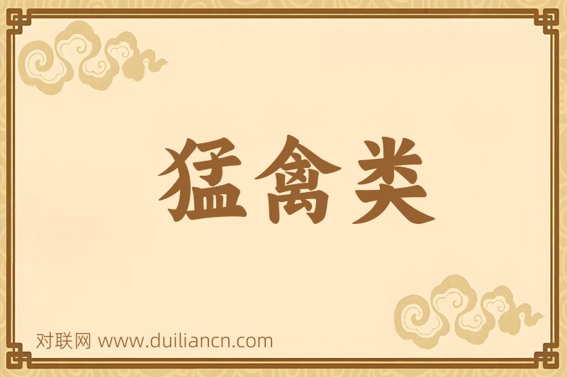 猛禽类词语的意思
