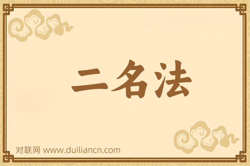 二名法词语的意思