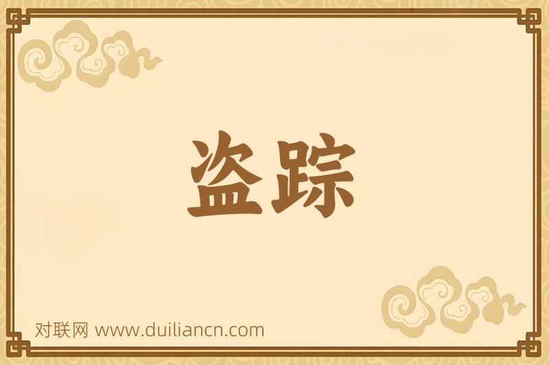 盗踪词语的意思