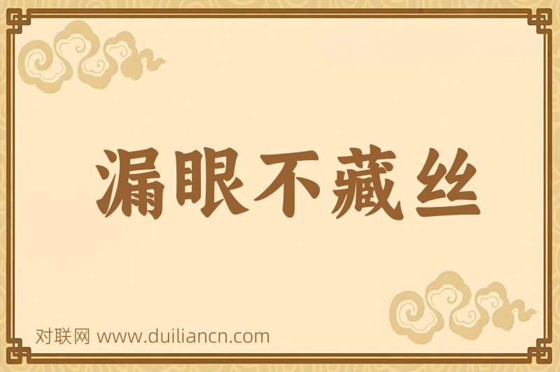 漏眼不藏丝词语的意思