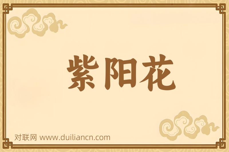 紫阳花词语的意思