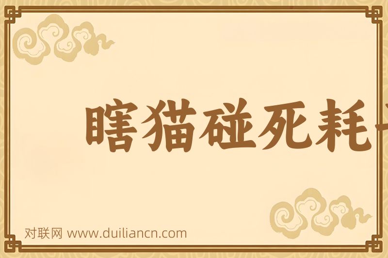 瞎猫碰死耗子词语的意思