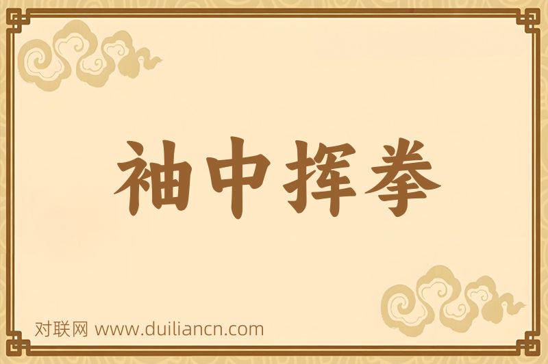 袖中挥拳词语的意思