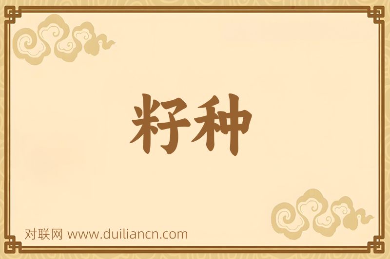 籽种词语的意思