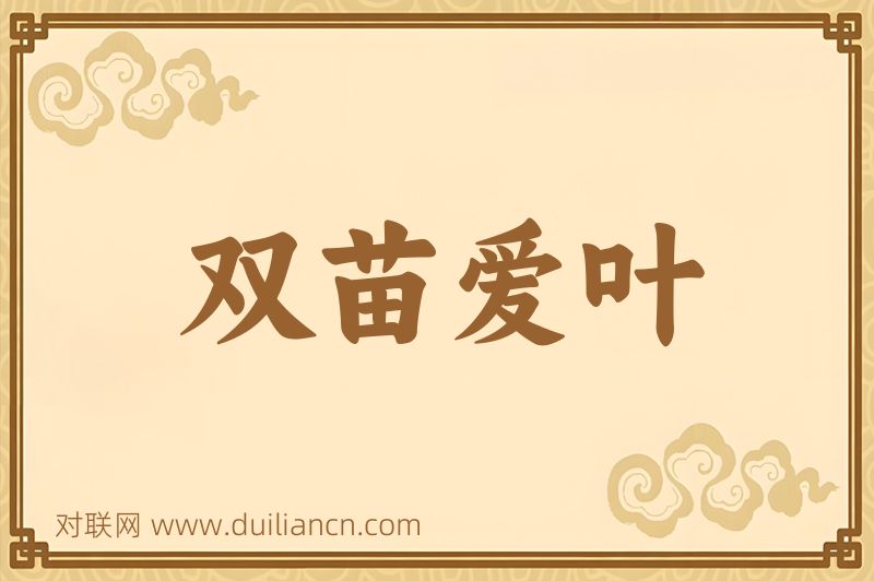 双苗爱叶词语的意思