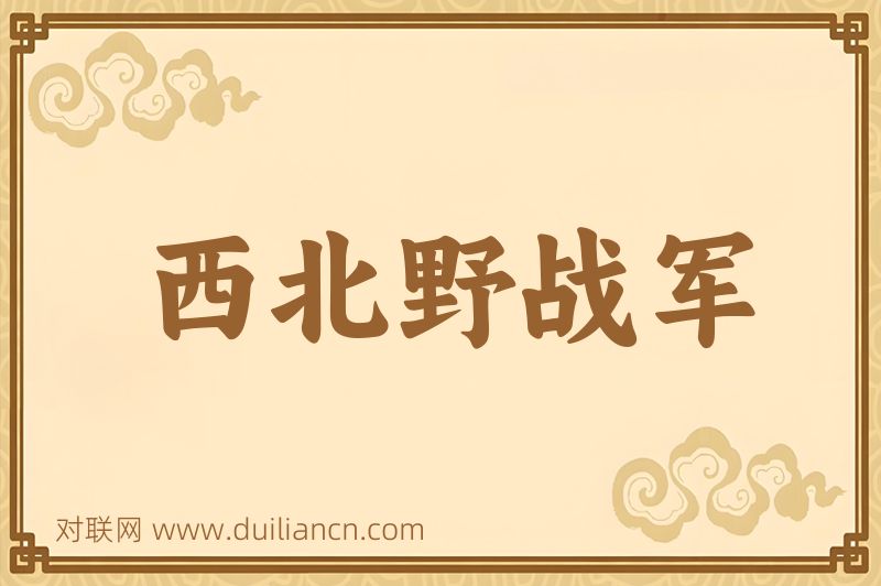西北野战军词语的意思