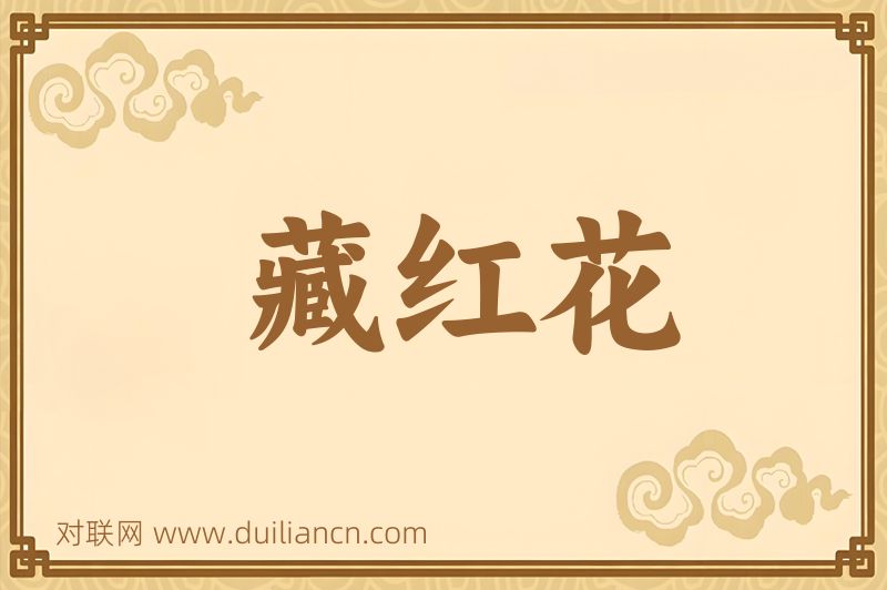 藏红花词语的意思