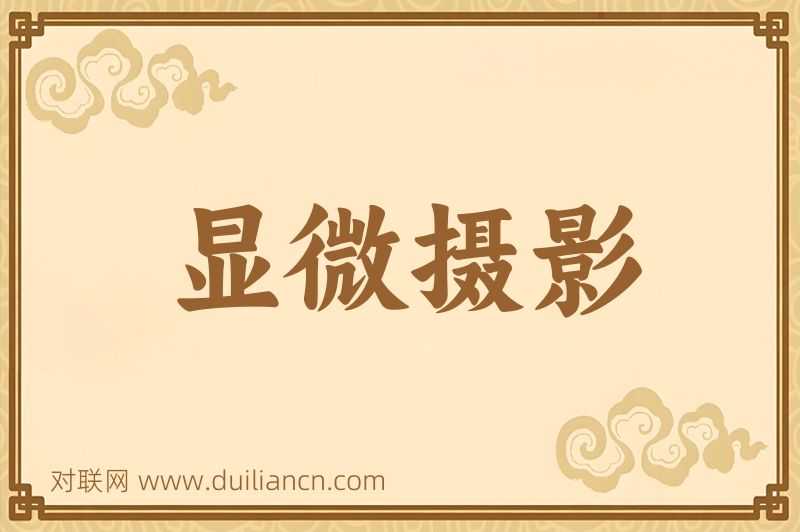 显微摄影词语的意思