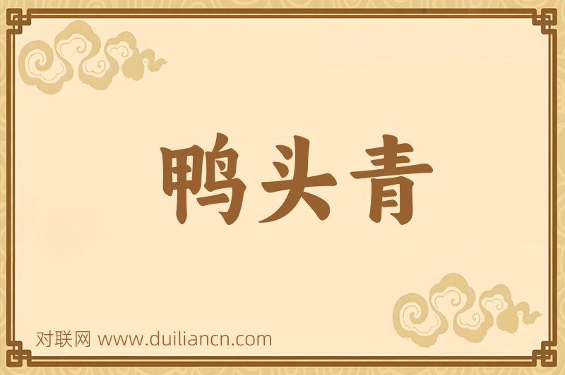 鸭头青词语的意思