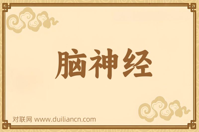 脑神经词语的意思