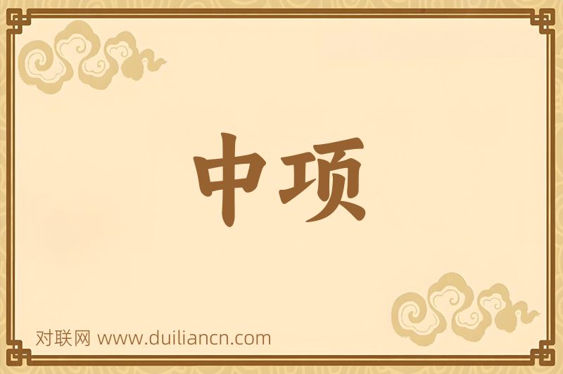 中项词语的意思