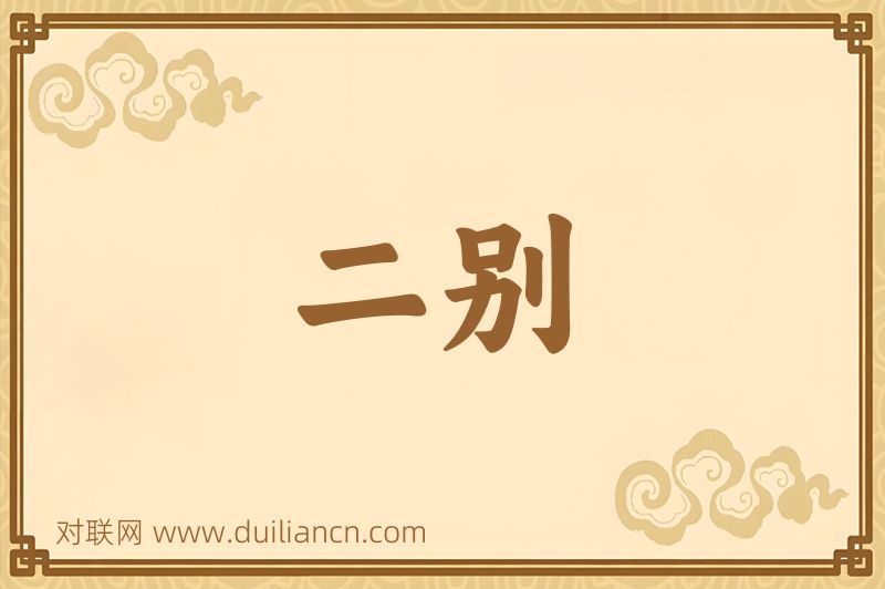 二别词语的意思