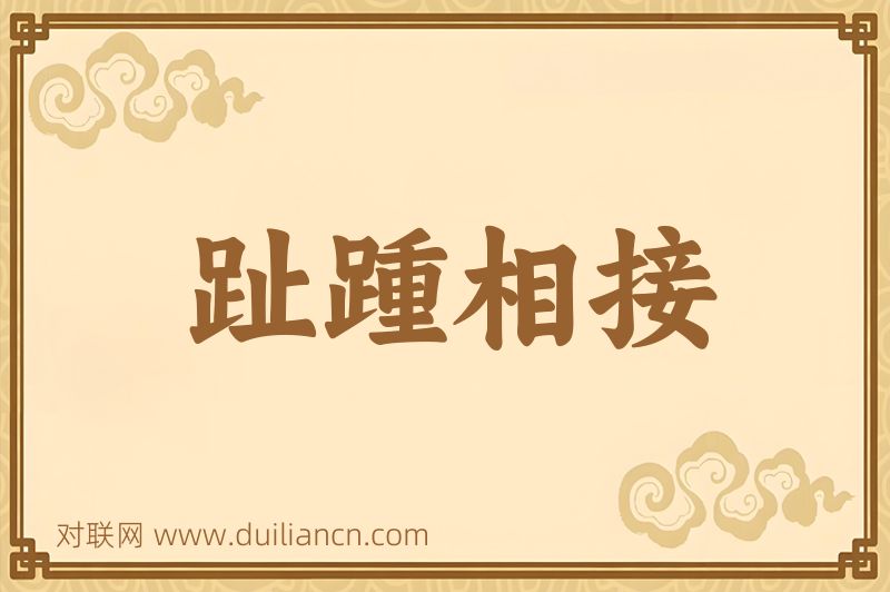 趾踵相接词语的意思
