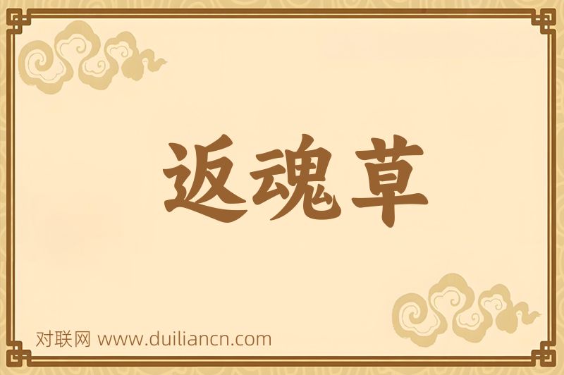 返魂草词语的意思